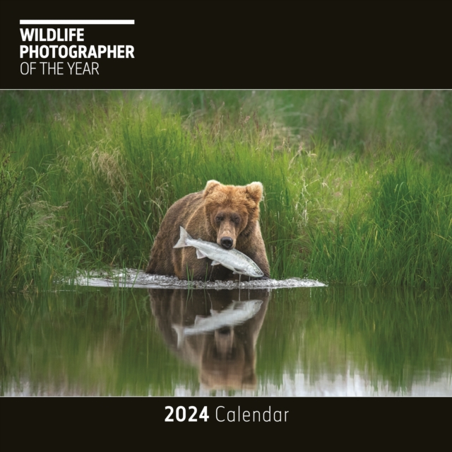 Wildlife Photographer of the Year Square Wall Calendar 2024