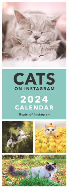 Cats on Instagram Slim Calendar 2024