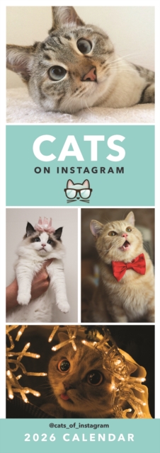 Cats On Instagram Slim Calendar 2026