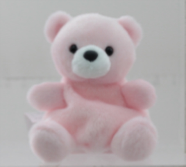 PP Pink Bear