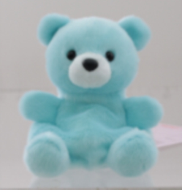 PP Blue Bear