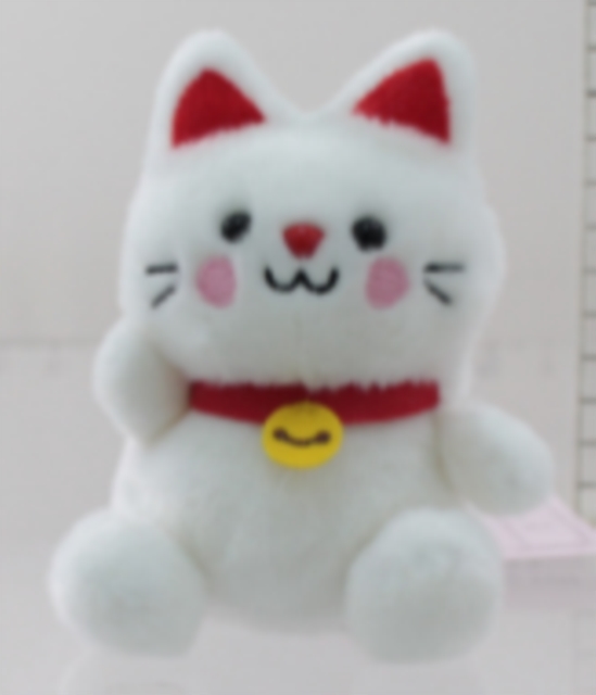 PP Kota Lucky Cat