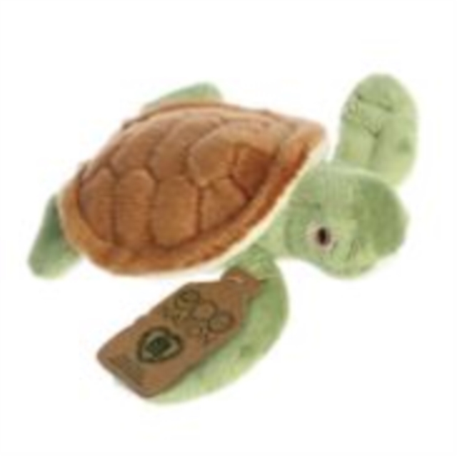 Eco Nation Mini Turtle