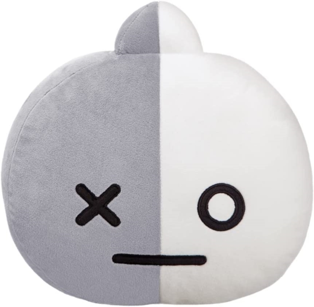 BT21 VAN Cushion