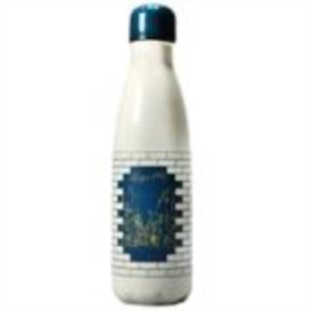 Harry Potter - Diagon Embossed Water Bottle