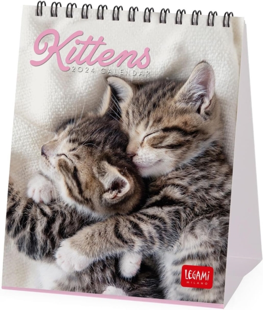 DESK CALENDARS - 2024 DESK CALENDAR - KITTENS - 12X14.5 - CATS