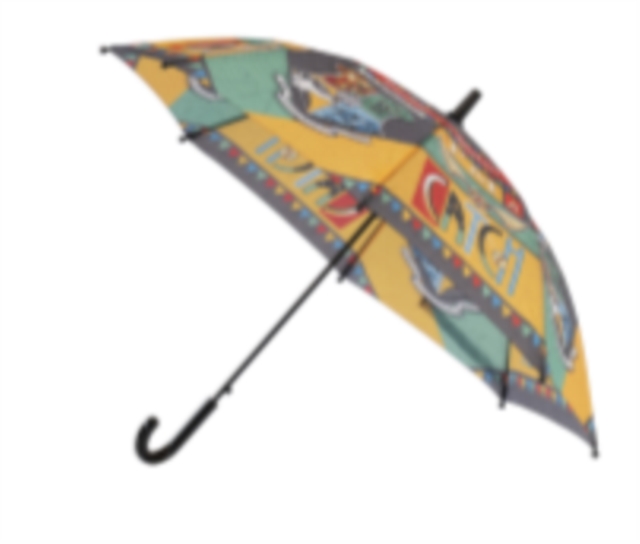 Harry Potter 48cm / 19