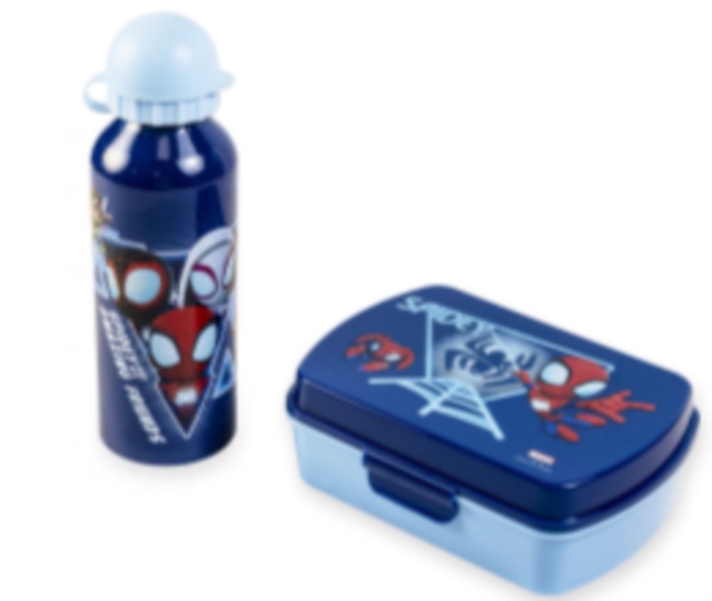 LUNCH BOX + ALUMINIUM CANTEEN 500ML SET STITCH