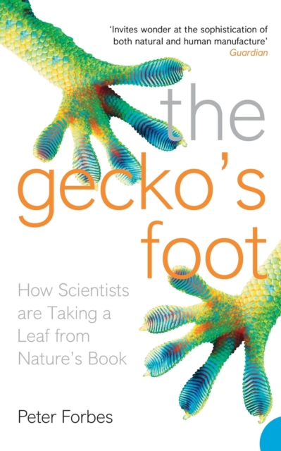 The Gecko’s Foot
