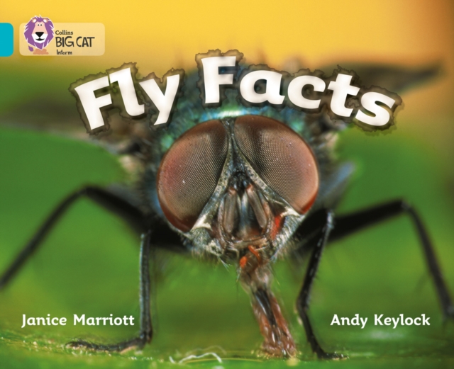 Fly Facts