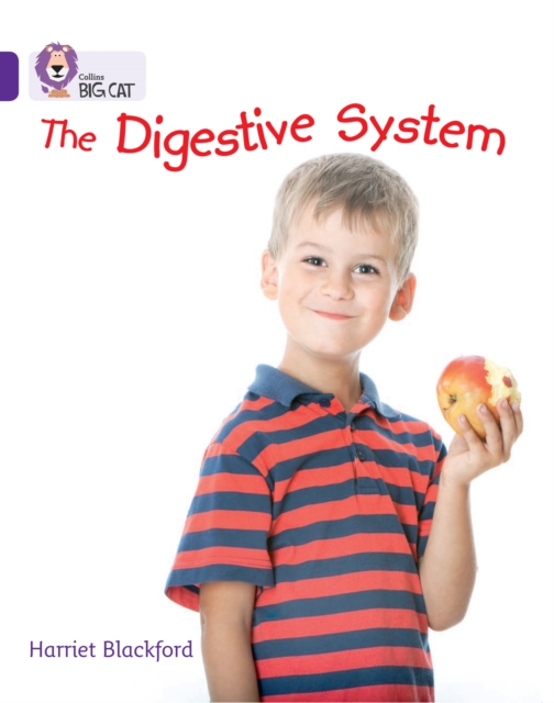 The Digestive System