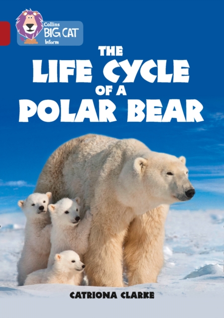 Life Cycle of a Polar Bear