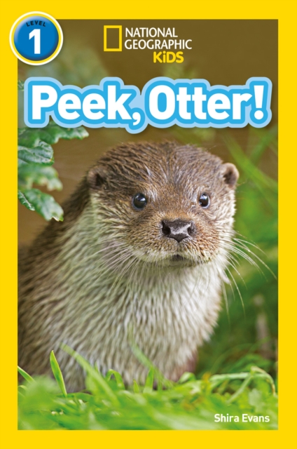 Peek, Otter!