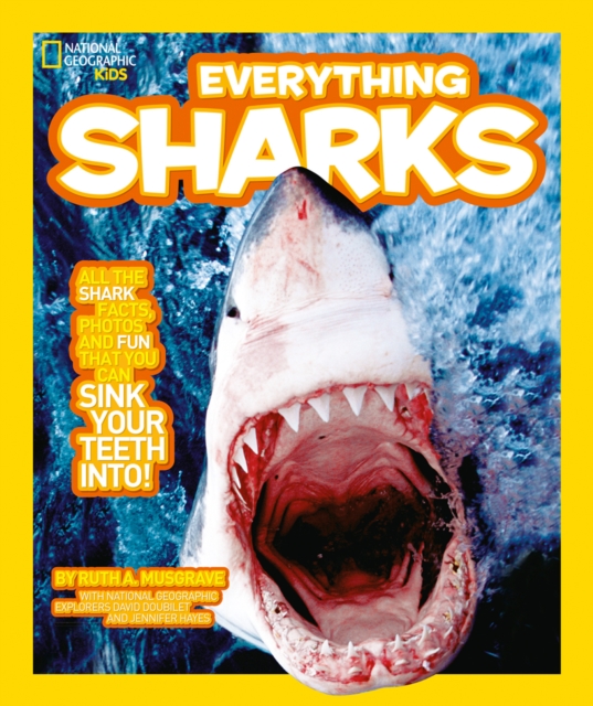 Everything: Sharks