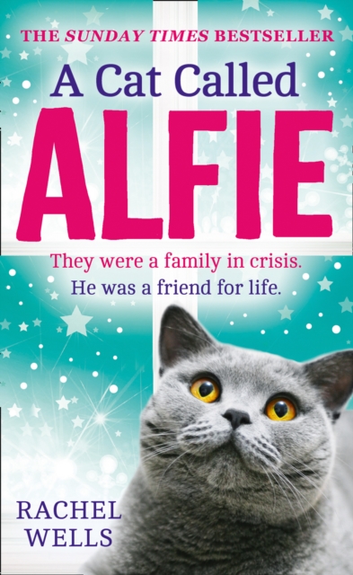 Cat Called Alfie