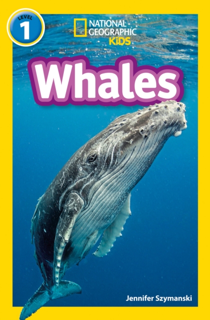 Whales