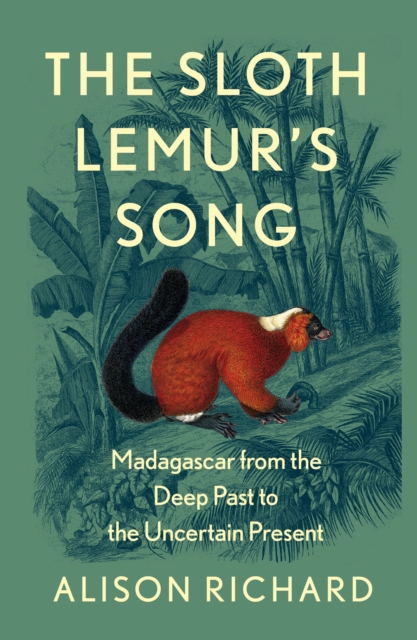 Sloth Lemur's Song