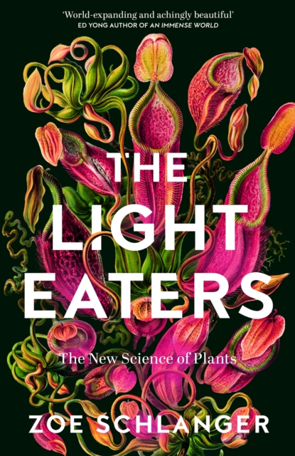 Light Eaters