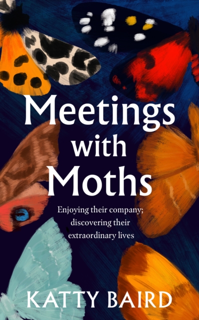 Meetings with Moths