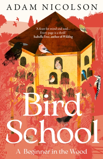Bird School