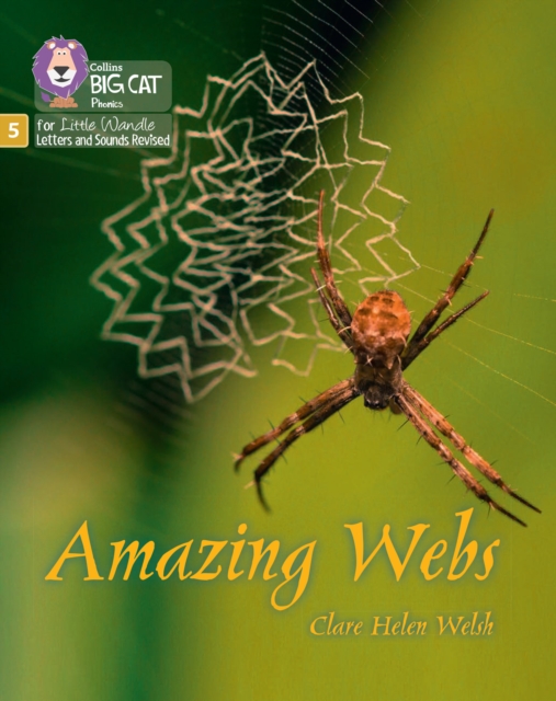 Amazing Webs