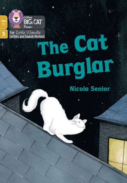 Cat Burglar