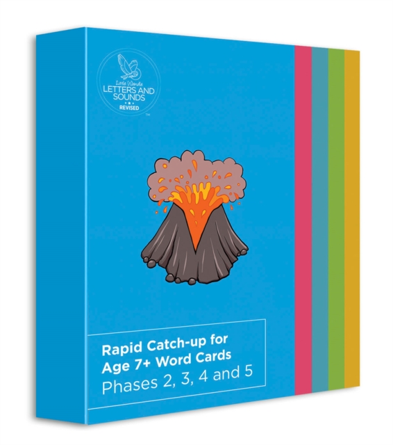 Rapid Catch-up for Age 7+ Word Cards (ready-to-use cards)