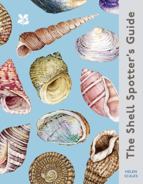 Shell-spotter’s Guide