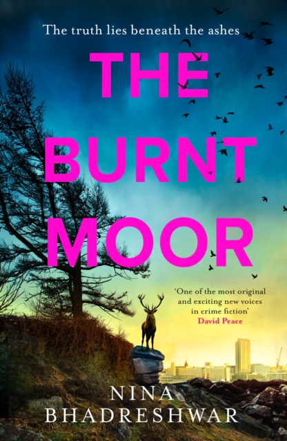 The Burnt Moor