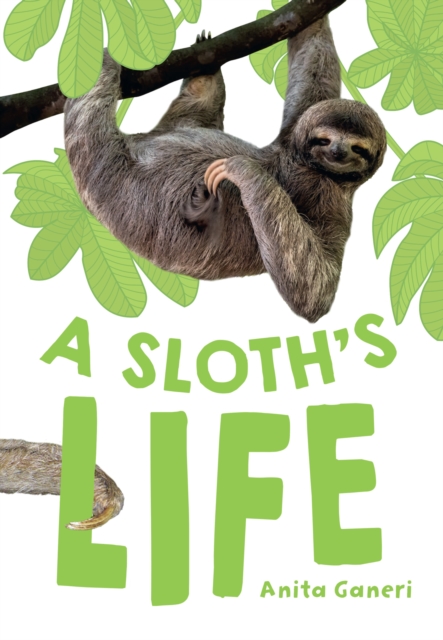 Sloth's Life