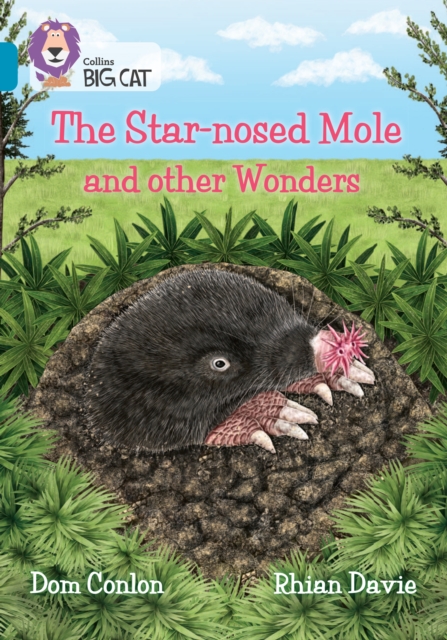 Star-nosed Mole