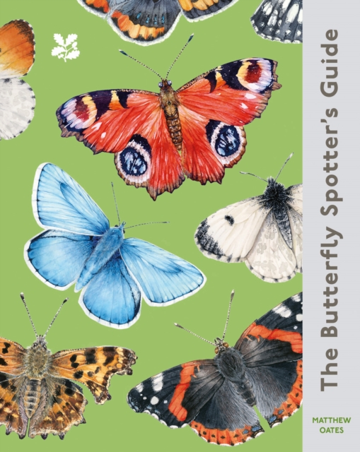 Butterfly Spotter’s Guide