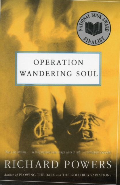 Operation Wandering Soul