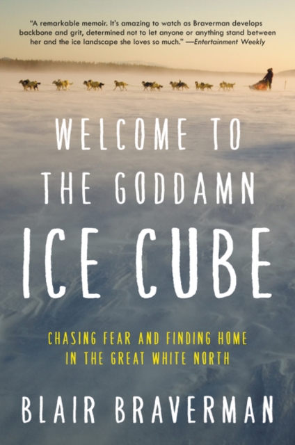 Welcome to the Goddamn Ice Cube