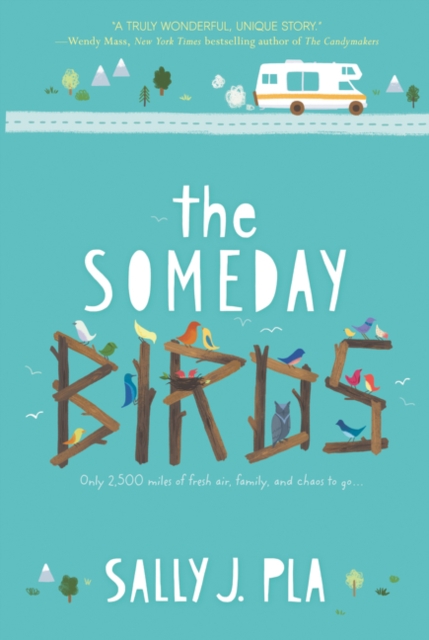 Someday Birds