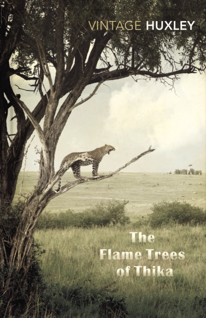 Flame Trees Of Thika