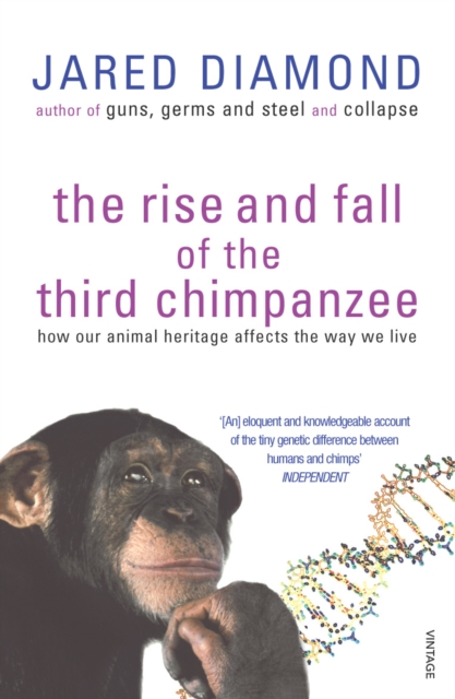 Rise And Fall Of The Third Chimpanzee
