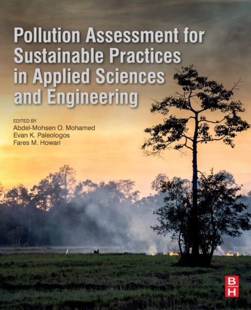 Pollution Assessment for Sustainable Practices in Applied Sciences and Engineering