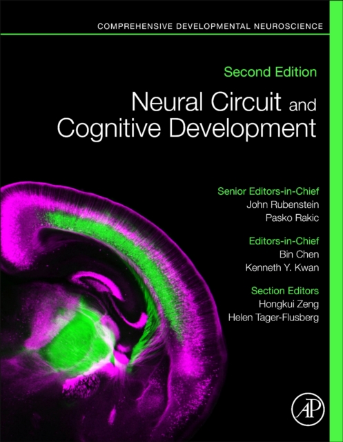 Neural Circuit and Cognitive Development