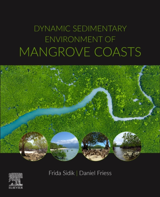 Dynamic Sedimentary Environment of Mangrove Coasts