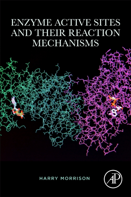 Enzyme Active Sites and their Reaction Mechanisms