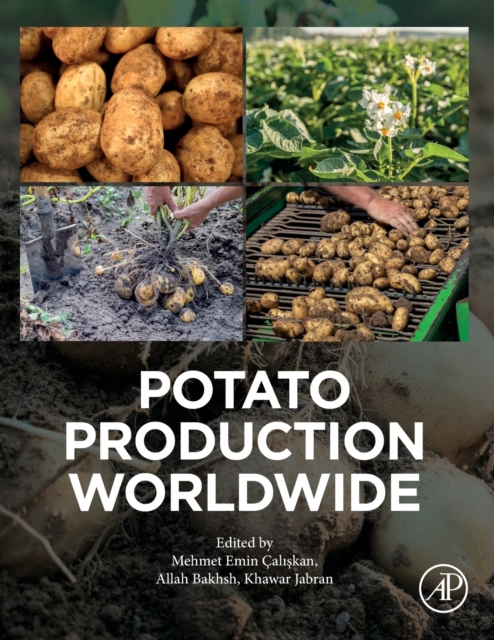 Potato Production Worldwide