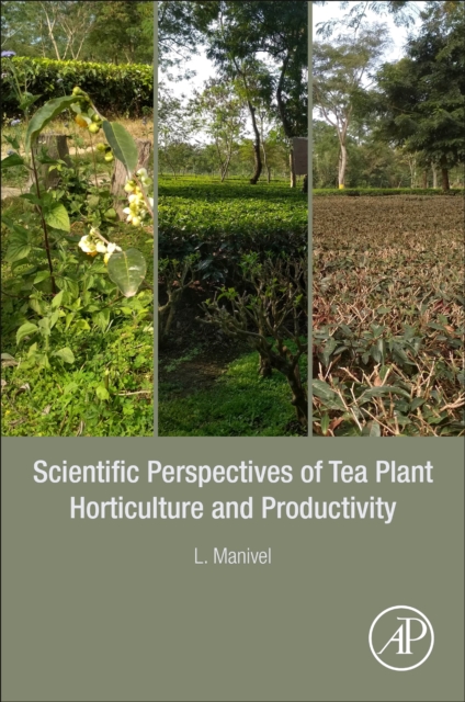 Scientific Perspectives of Tea Plant Horticulture and Productivity