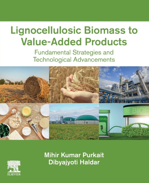 Lignocellulosic Biomass to Value-Added Products