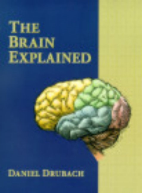 Brain Explained, The