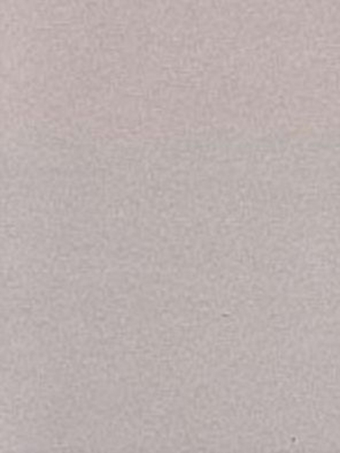 Social Foundations of Thought and Action