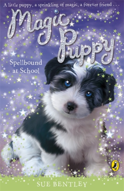 Magic Puppy: Spellbound at School