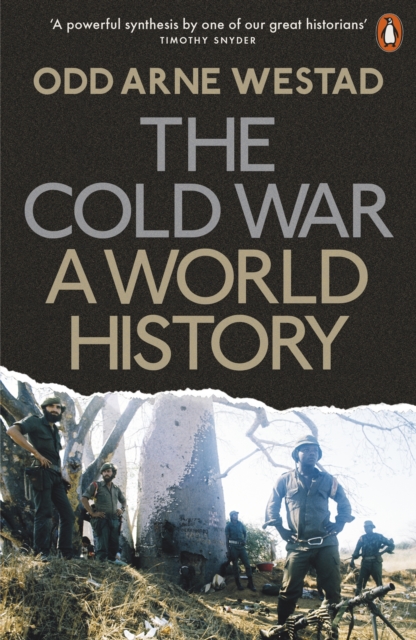 The Cold War: A World History (Penguin Orange Spines)