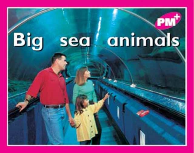 Big sea animals