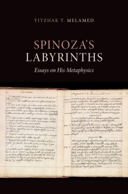 Spinoza's Labyrinths